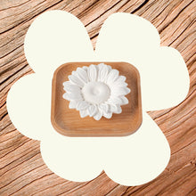 將圖片載入圖庫檢視器 美國 Plant Therapy Passive Sunflower Diffuser 太陽花擴香石