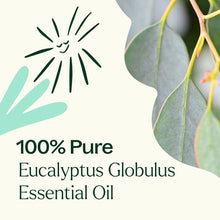 將圖片載入圖庫檢視器 美國 Plant Therapy 單方精油 - Eucalyptus Globulus 藍膠尤加利