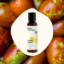 將圖片載入圖庫檢視器 美國 Plant Therapy 基底油 - Golden Jojoba 黃金荷荷巴