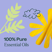 將圖片載入圖庫檢視器 美國 Plant Therapy 複方精油 - Worry Free 無憂無慮