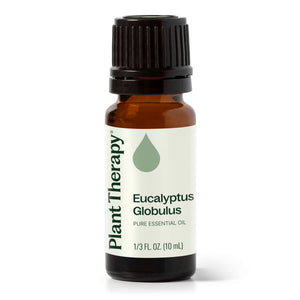 美國 Plant Therapy 單方精油 - Eucalyptus Globulus 藍膠尤加利