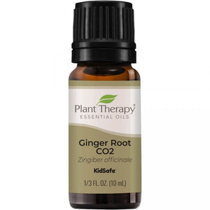 美國 Plant Therapy 兒童安全單方精油 - Ginger Root CO2 生薑